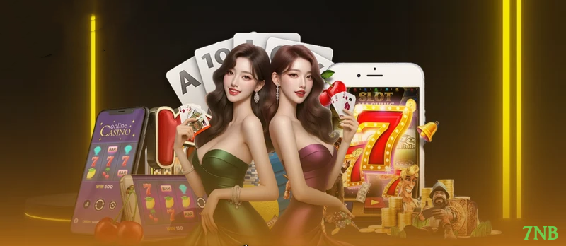 Imagem promocional da plataforma 7nb